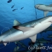 shark_reef_grey_ver_h_0524_yap1981.jpg